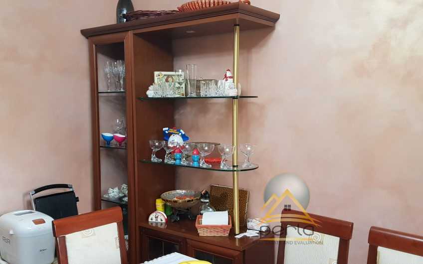 Shitet apartament 3+1, Zogu i Zi