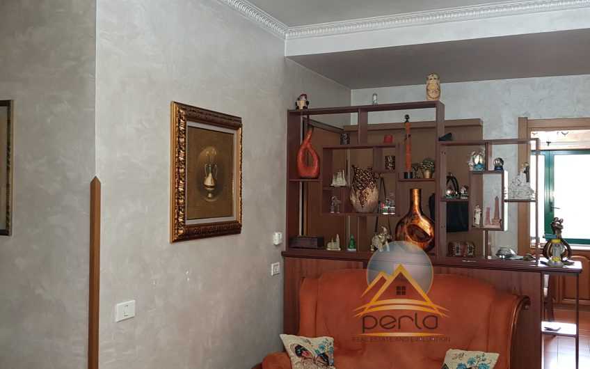 Shitet apartament 3+1, Zogu i Zi