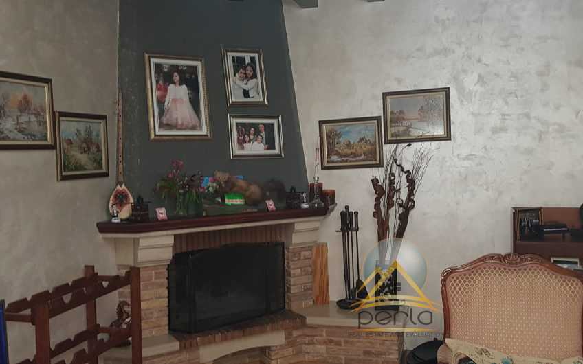 Shitet apartament 3+1, Zogu i Zi