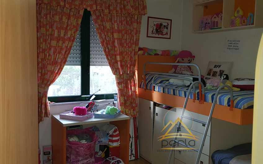 Shitet apartament 3+1, Zogu i Zi