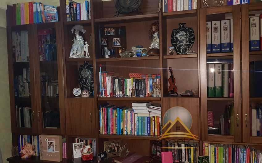 Shitet apartament 3+1, Zogu i Zi