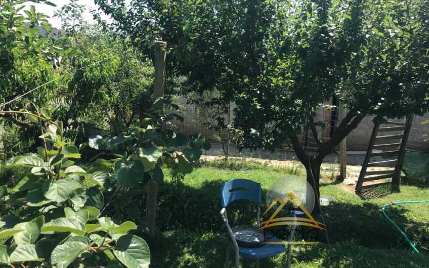 Shitet toke dhe shtepi private buze rruges kryesore Vore-Durres