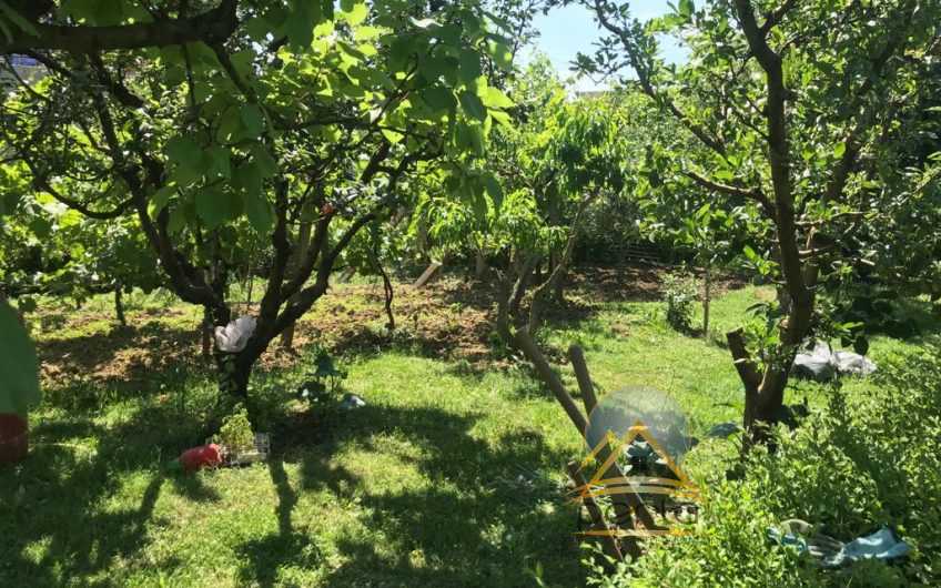 Shitet toke dhe shtepi private buze rruges kryesore Vore-Durres