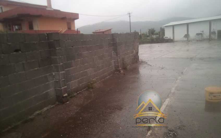 Shiten 3 Troje + 2 Magazina, prane doganes, Elbasan