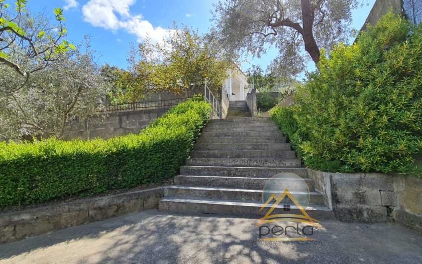 SHITET SHTEPI PRIVATE NE SELITE!