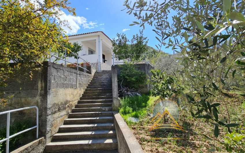 SHITET SHTEPI PRIVATE NE SELITE!