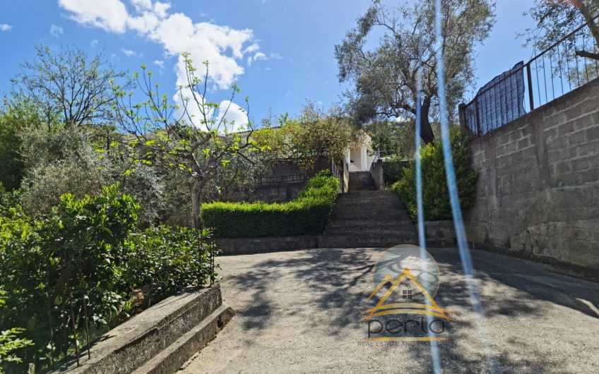 SHITET SHTEPI PRIVATE NE SELITE!