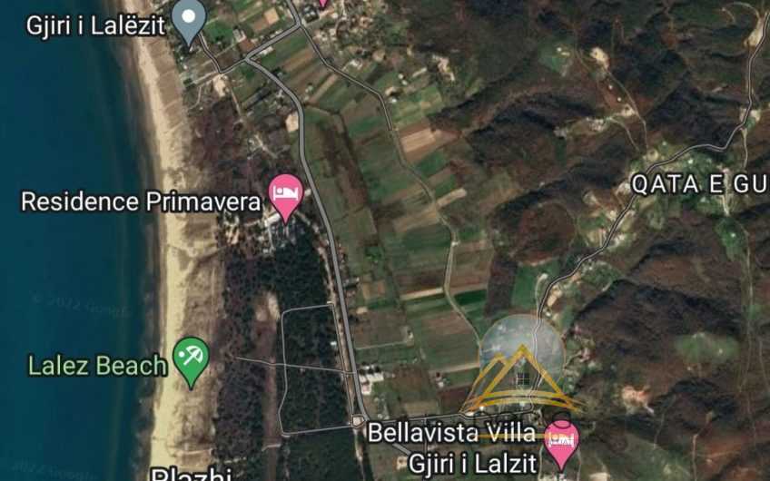 Shitet toke Gjiri Lalzit