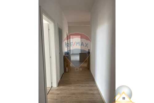 Jepet zyre per qira ne zonen e Myslym Shyrit