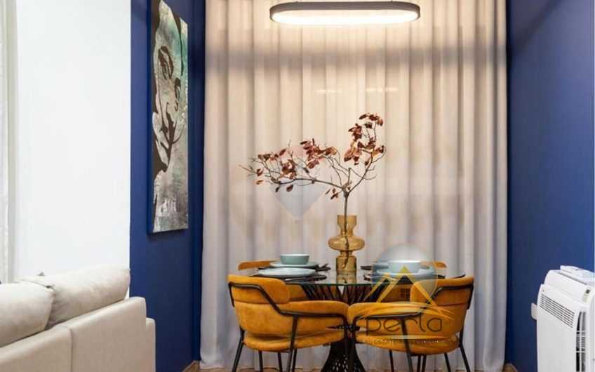 Apartament 1+1 me qira , ALI DEMI   /550 Euro