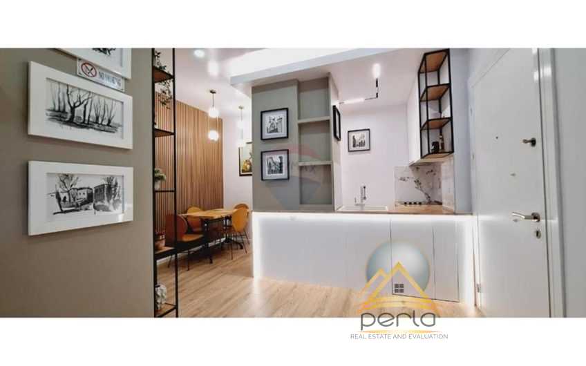 Apartament 1+1 per qira, 21 Dhjetori,FROSINA PLAKU