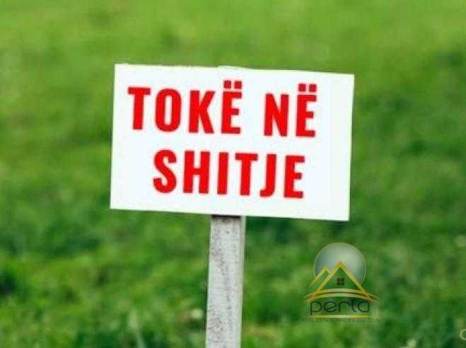 Shitet  toke ne Kashar