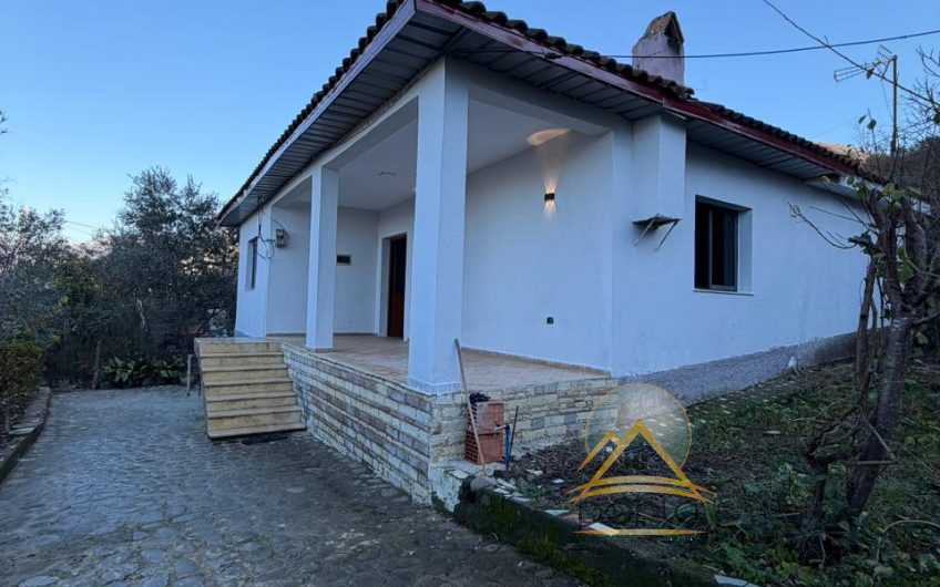 Shitet shtepi private, Petrele
