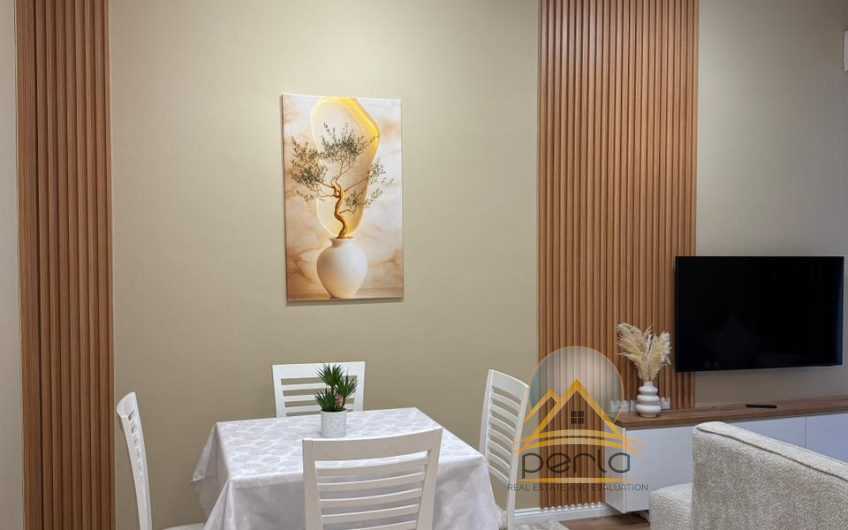 JEPET APARTAMENT ME QIRA TEK XHAMIA KOPSHTI BOTANIK